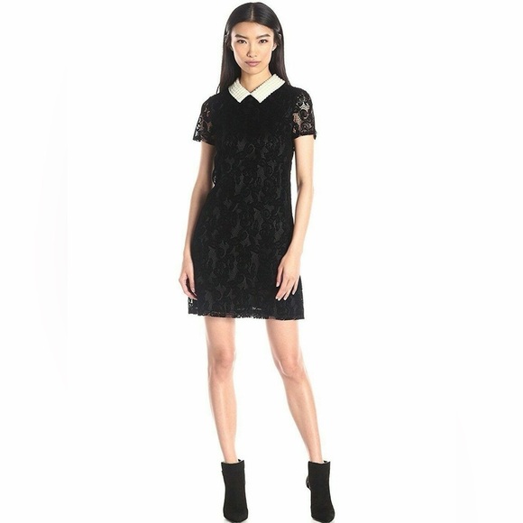 Betsey Johnson Black Lace burnt velvet goth whimsical enchanted Dress - Picture 1 of 12